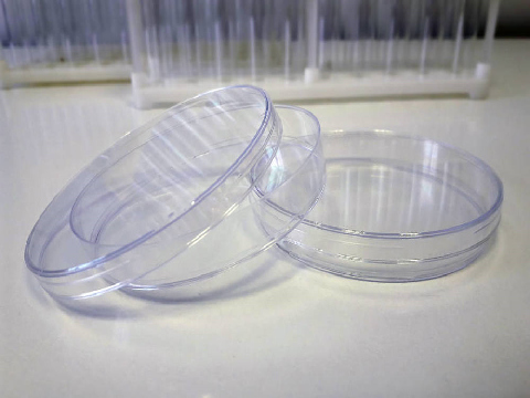Petri Dish