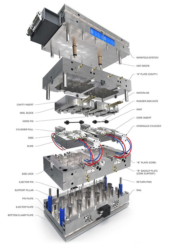 Anatomy of mold