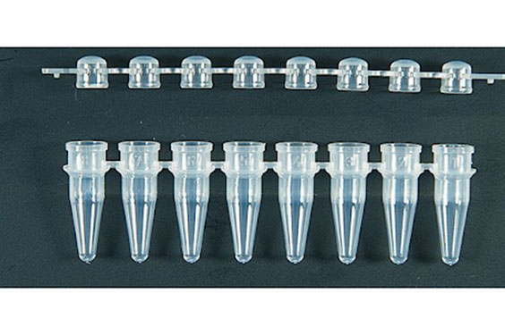 8 strip pcr tube