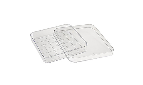 square petri dish with grid1