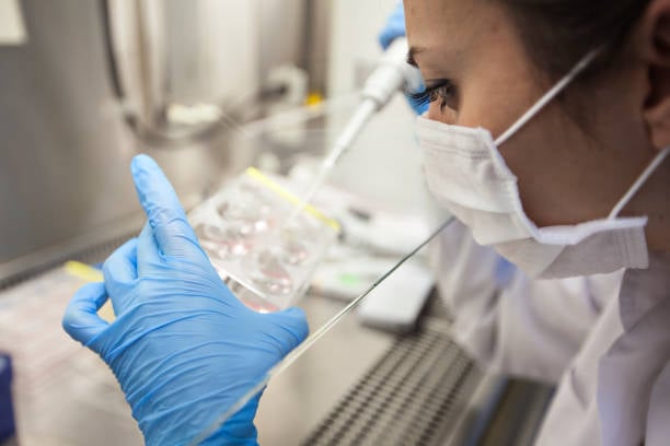 researchers lab work