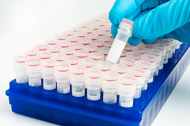 A rack with laboratory tubes